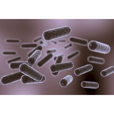 Legionellen vermeiden: So schützen Sie Ihr Zuhause vor gefährlichen Bakterien